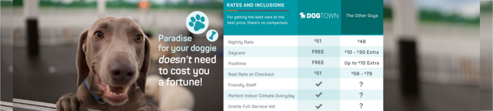 Pricing Banner with Brown Dog